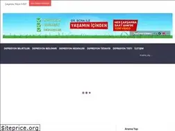Sites similar to depresyon.com.tr