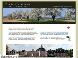 Sites similar to derbruchsaler.de