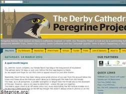 Sites similar to derbyperegrines.blogspot.com