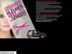 Sites similar to derijdendeschaar.com
