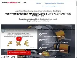 Sites similar to dermagnetmotor.com