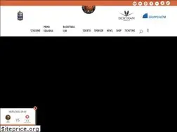 Sites similar to derthonabasket.it