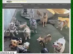 Sites similar to dertydogfitness.com