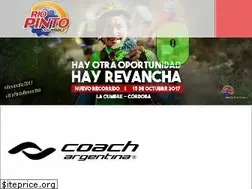 Sites similar to desafiopinto.com.ar