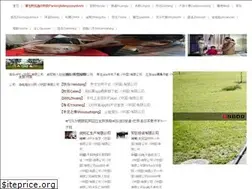 Sites similar to desalomon.com