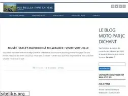 Sites similar to desbiellesdanslatete.com