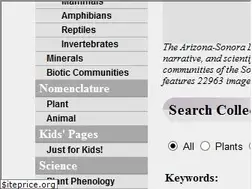 Sites similar to desertmuseumdigitallibrary.org