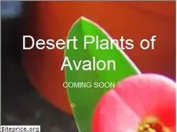 Sites similar to desertplantsofavalon.com