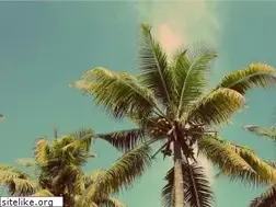 Sites similar to desertrentalagency.com