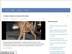 Sites similar to design-saitov.ru