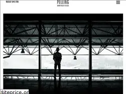 Sites similar to designbypelling.co.uk