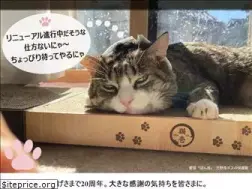 Sites similar to designcross.jp