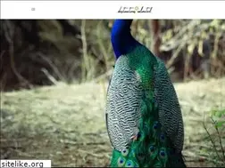 Sites similar to destinationsunlimitedindia.com