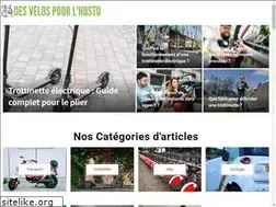 Sites similar to desvelospourlhosto.fr