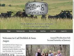 Sites similar to dethlefsangus.com