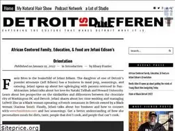Sites similar to detroitisdifferent.com