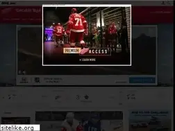 Sites similar to detroitredwings.com