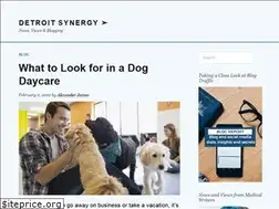 Sites similar to detroitsynergy.org