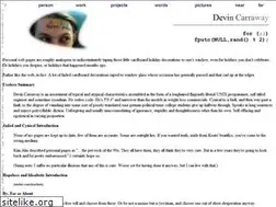 Sites similar to devin.com