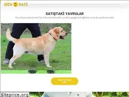 Sites similar to devpati.com