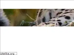 Sites similar to dewildt.co.za