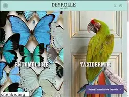 Sites similar to deyrolle.fr