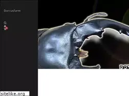 Sites similar to df-kabukuwa.net