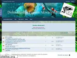 Sites similar to dfa.net.pl