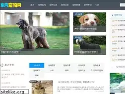 Sites similar to dfminfo.com.cn