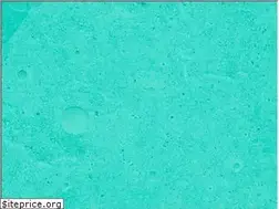 Sites similar to dgs-video.de