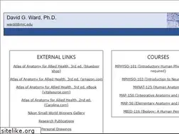Sites similar to dgward.com