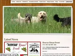Sites similar to dhanamettarescuesociety.org