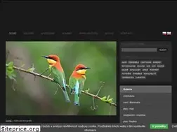 Sites similar to dhphoto.cz