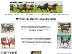 Sites similar to diablovista.homestead.com