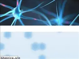 Sites similar to diagnosticsnortheast.org.uk
