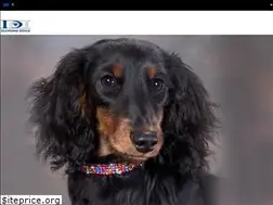 Sites similar to diamonddogs.us