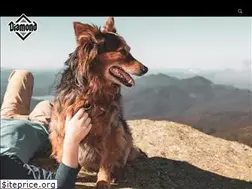 Sites similar to diamondpet.com