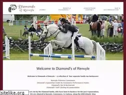 Sites similar to diamonds-of-renvyle.com
