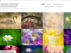 Sites similar to dianateeters.com