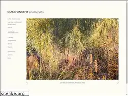 Sites similar to dianevincent.de