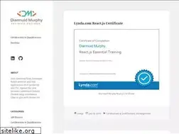 Sites similar to diarmuidmurphy.com