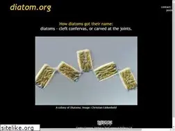 Sites similar to diatom.org