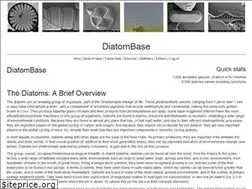 Sites similar to diatombase.org