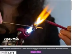 Sites similar to diatomeebijoux.com