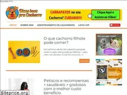 Sites similar to dicasboaspracachorro.com.br