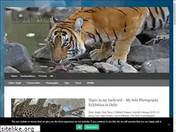 Sites similar to dickysingh.com