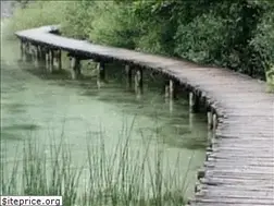 Sites similar to didiking.com