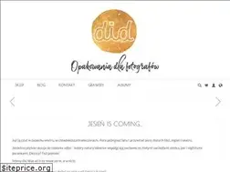 Sites similar to didshop.pl