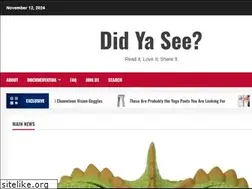 didyasee.com