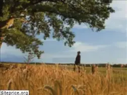 Sites similar to die-stille-revolution.de